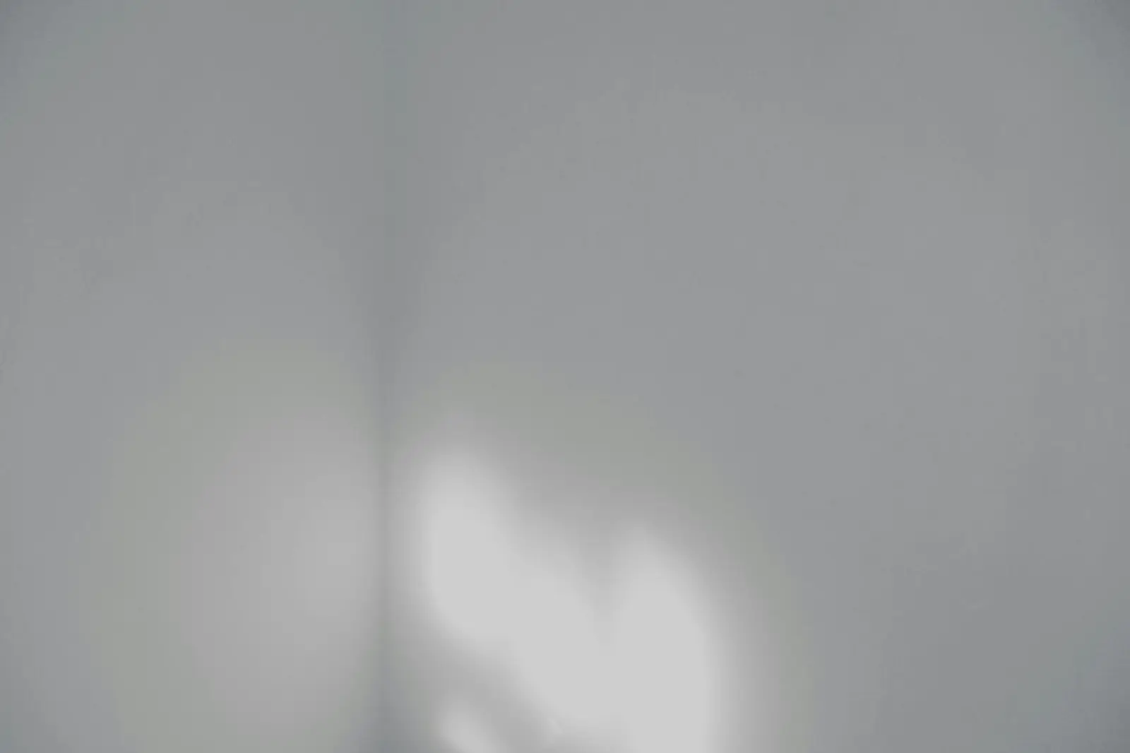 Monochrome Series
